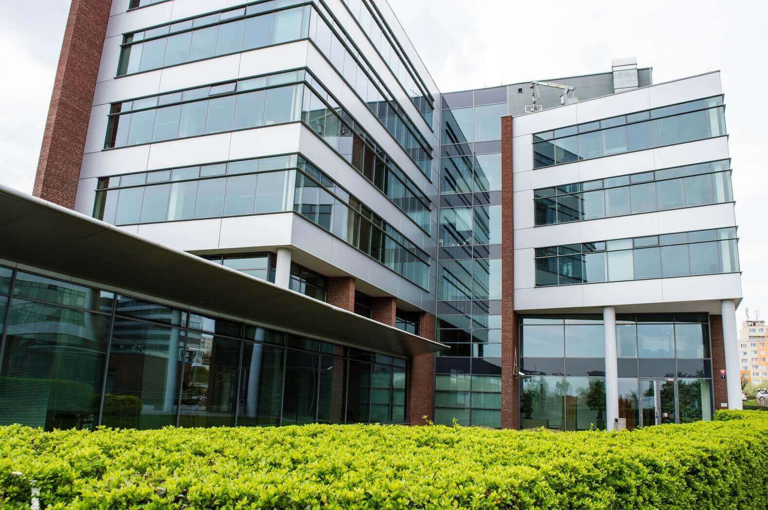 Executive & VIP Protection