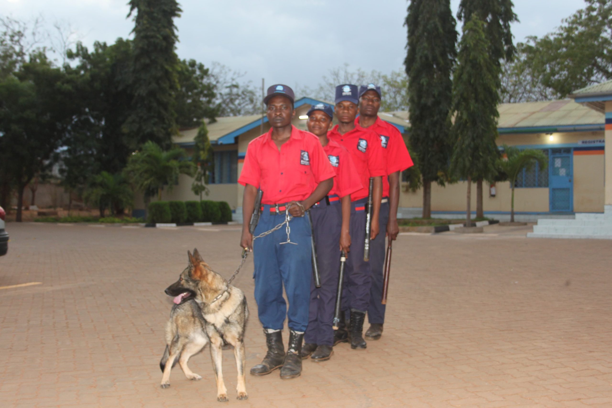 Recruitment and Career