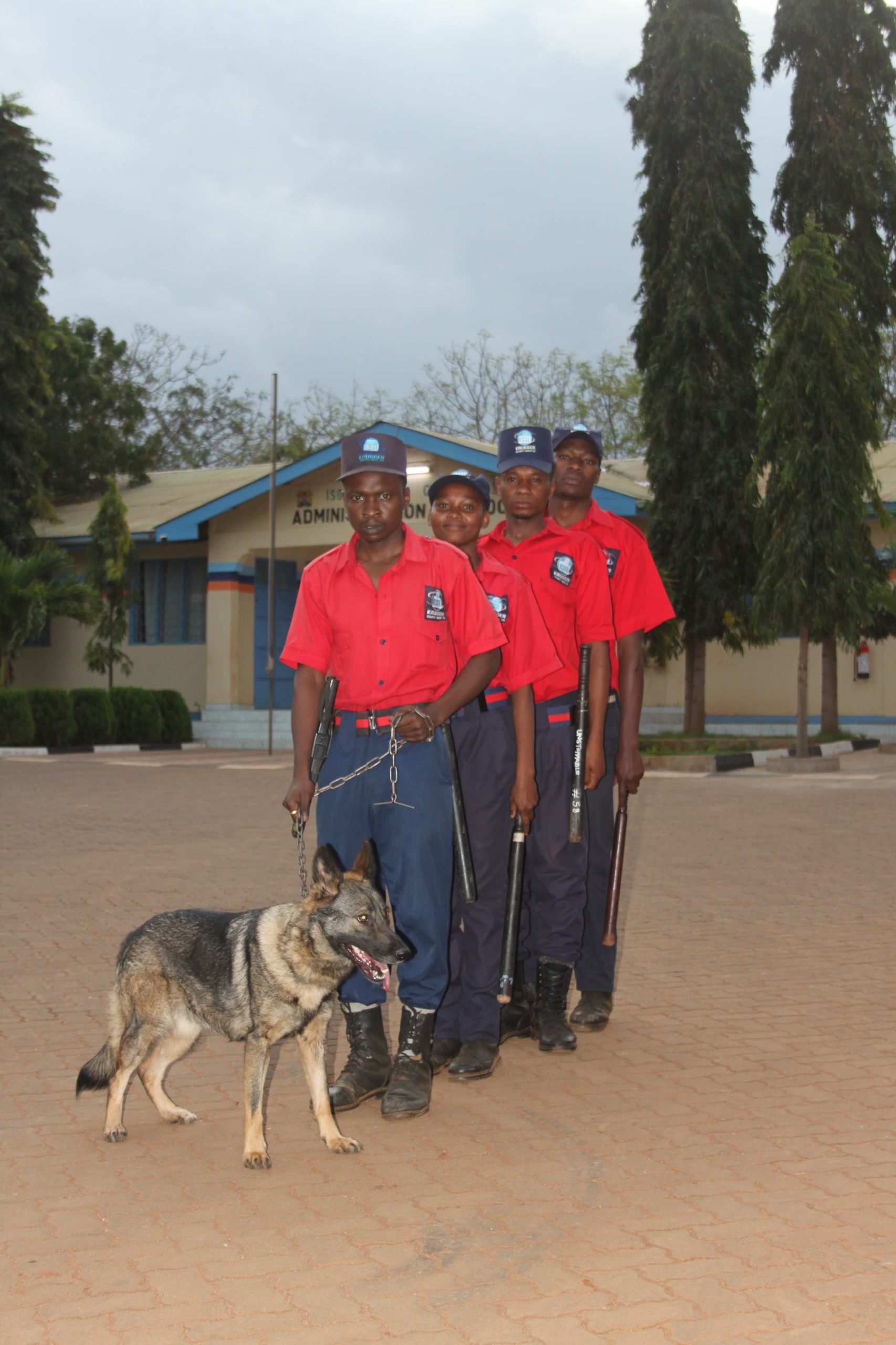 WhatsApp Image 2024-11-15 at 5.16