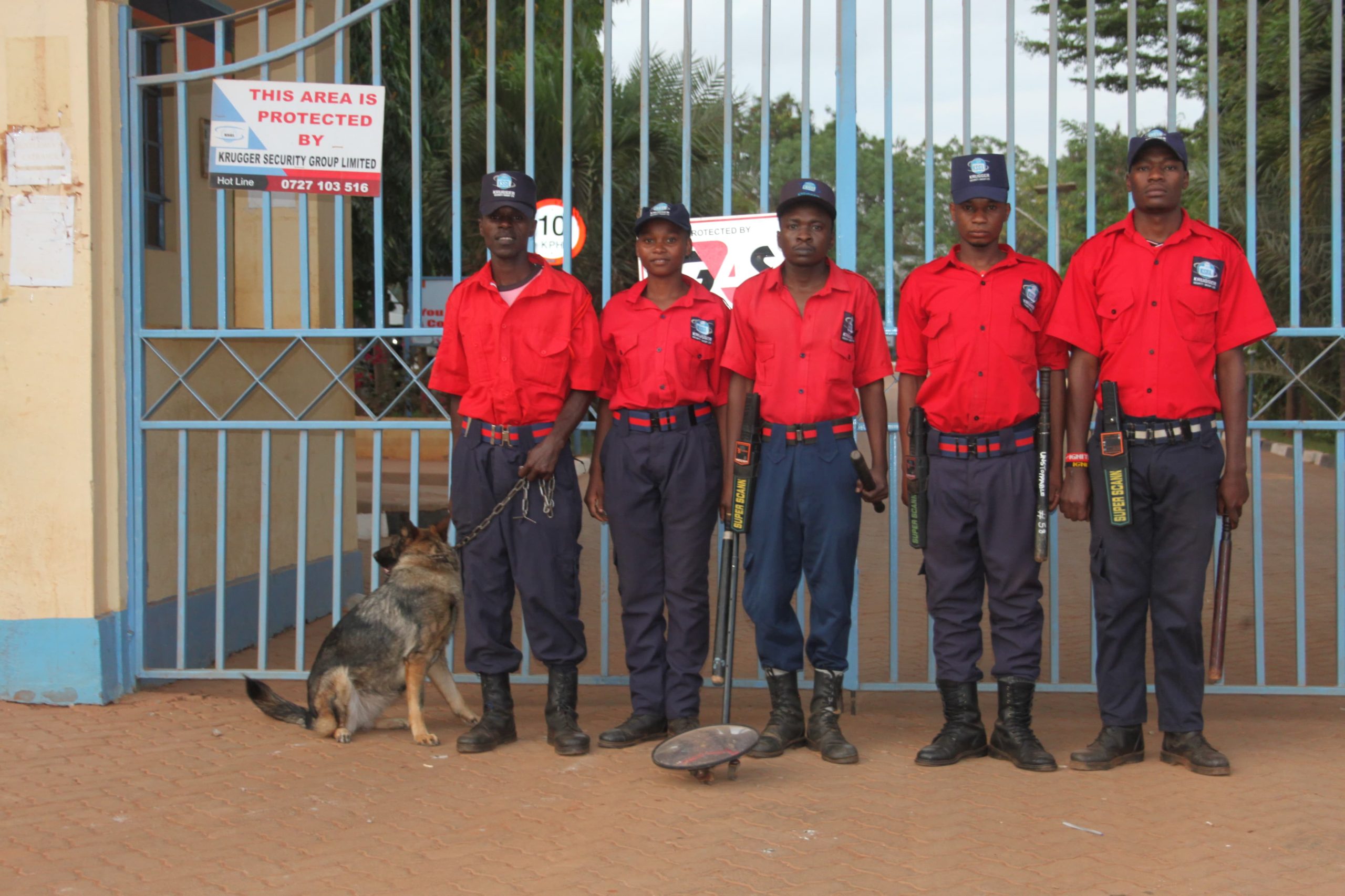 WhatsApp Image 2024-11-15 at 5.16