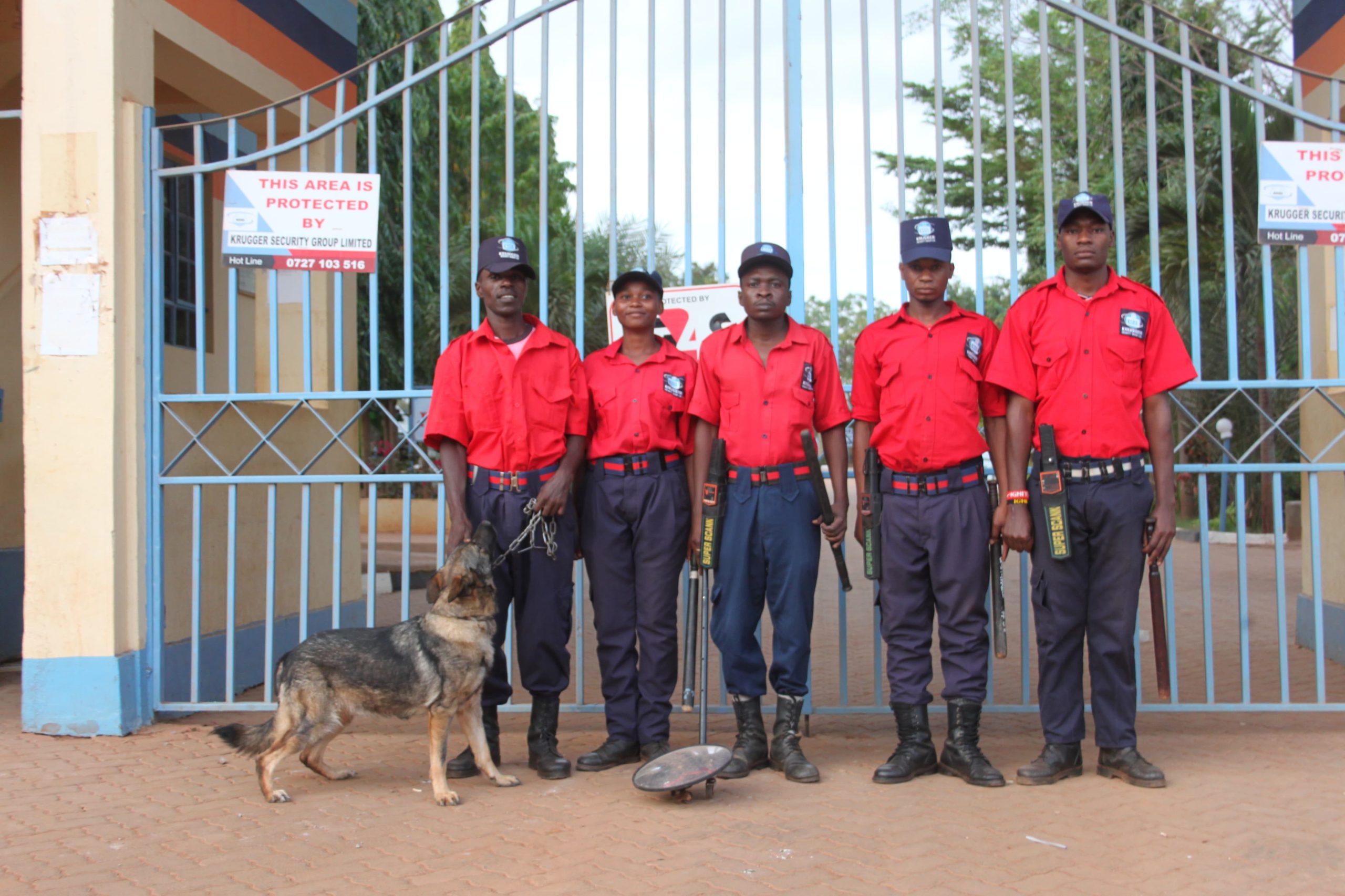 WhatsApp Image 2024-11-15 at 5.16