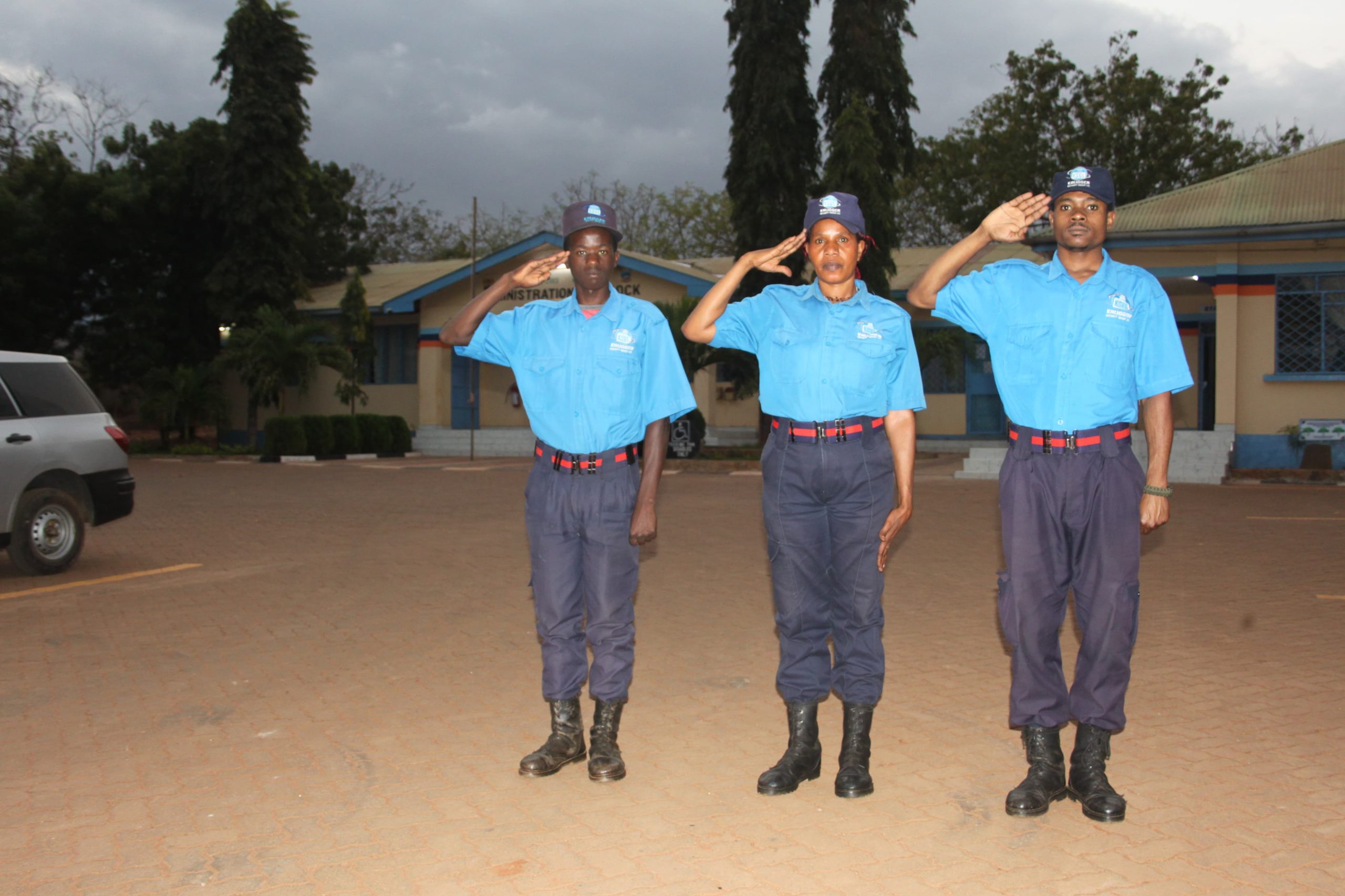 Consultancy & Training Services